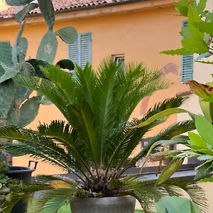  Apartamento The Jasmine Terrace Retreat